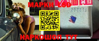 шишки Камышлов