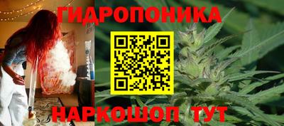 шишки Камышлов