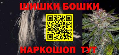 шишки Камышлов