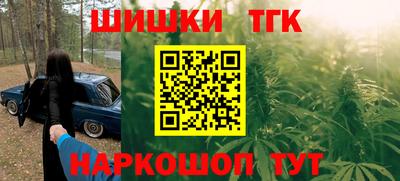 шишки Камышлов