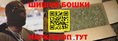 шишки Камышлов