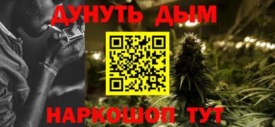 шишки Камышлов