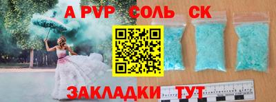 шишки Камышлов
