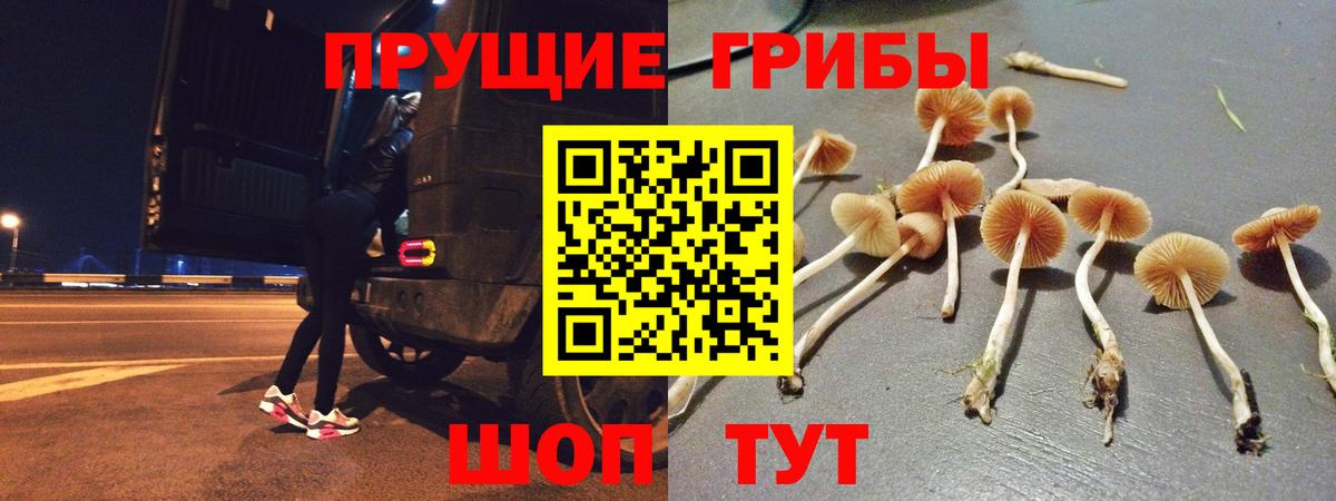 Псилоцибиновые грибы мухоморы  Вход с VPN  Лыткарино 